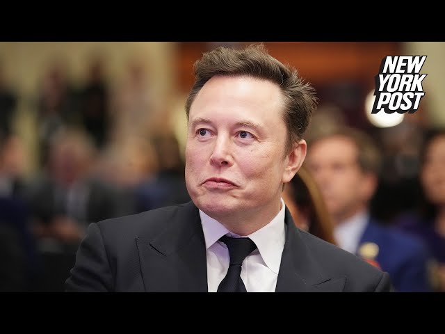 Elon Musk beefs with MAGA over legal immigration