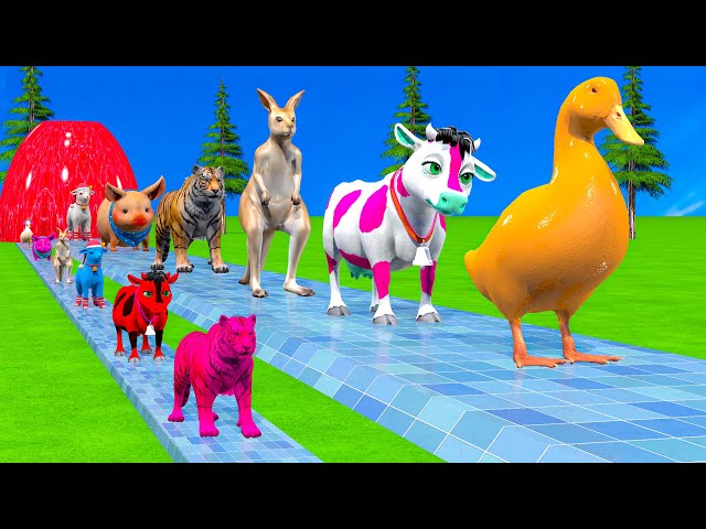 Paint & Animals Cow,Kangaroo,Duck,Tiger,Pig,Sheep Fountain Crossing Transformation Animal Cartoon