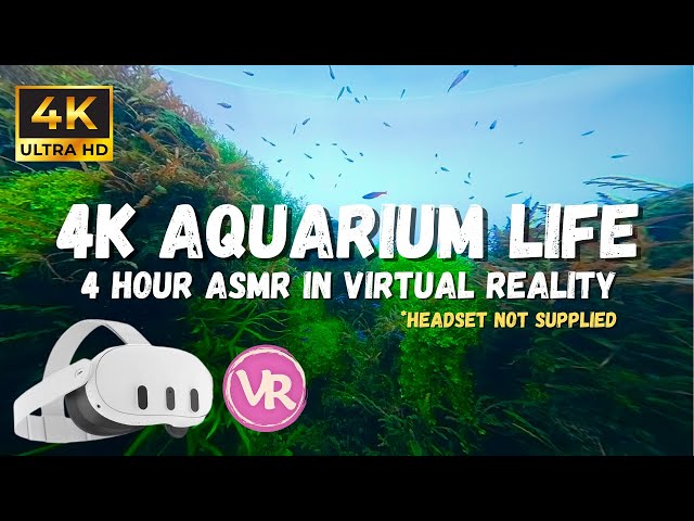 Underwater ambience, Coral reef 4K VR 3D, Relaxing ASMR for sleeping